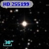 HD 255199
