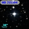 HD 255394