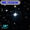 HD 255650