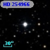 HD 254966