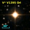 V* V1395 Ori