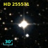 HD 255571