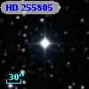 HD 255805