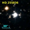 HD 255836