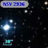 NSV  2936