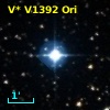 V* V1392 Ori