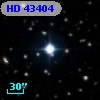 HD  43404