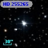 HD 255265
