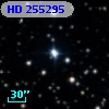 HD 255295