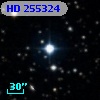 HD 255324