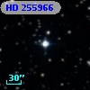 HD 255966