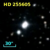 HD 255605
