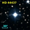 HD  44437
