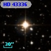HD  43336