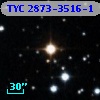 TYC 2873-3516-1