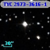 TYC 2873-3616-1