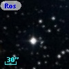 Ross   81