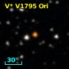 V* V1795 Ori