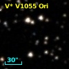 V* V1055 Ori