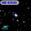 HD  42843