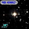HD  43082
