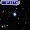 HD 255897