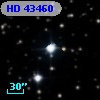 HD  43460