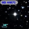 HD  44075