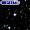 HD 255898