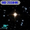 HD 255048