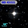 HD  43155