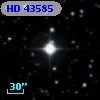 HD  43585