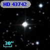 HD  43742