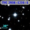 TYC 2856-1231-1