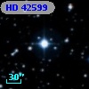 HD  42599
