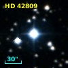 HD  42809