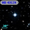 HD  43529