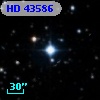 HD  43586