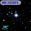 HD 255971