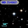 HD 254167