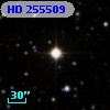HD 255509