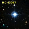 HD  43047