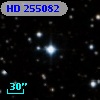 HD 255082