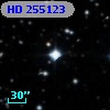HD 255123