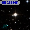 HD 255446