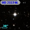 HD 255746