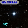 HD 256184