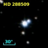 HD 288509