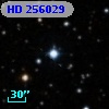 HD 256029