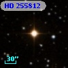 HD 255812